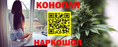 a pvp Славгород