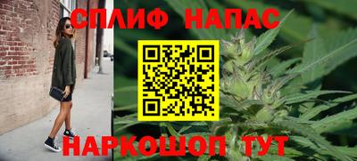 a pvp Славгород