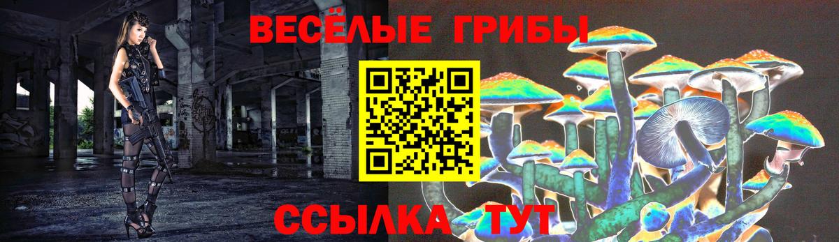 Галлюциногенные грибы прущие грибы  Вход с VPN  Обнинск 
